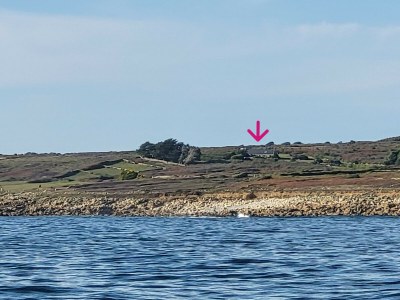 Holiday house 544-Villa Kernod. Facing the sea - Environment photo 25