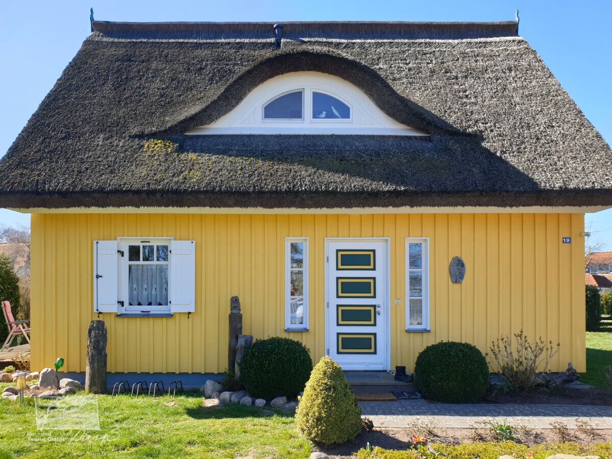 Holiday house Haus an der Birke - Outdoor photo 2