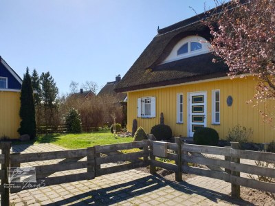 Holiday house Haus an der Birke - Outdoor photo 3