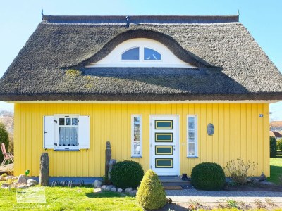 Holiday house Haus an der Birke - Outdoor photo 6