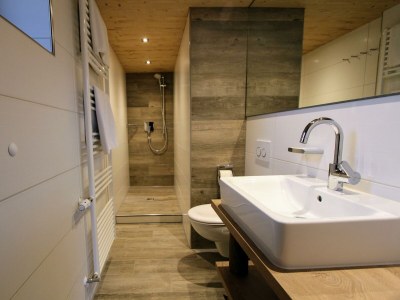 Apartment Apartment/1 Schlafraum/Dusche, WC, Nr. 7 - Features photo 32