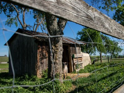 Apartment 6-Bett-Ferienwohnung Hilde mit Terrasse - Outdoor photo 19