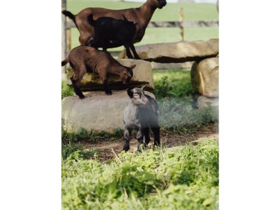 Apartment 6-Bett-Ferienwohnung Hilde mit Terrasse - Outdoor photo 22