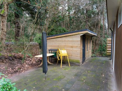 Holiday house Waldhaus in Norg mit privater Sauna - Outdoor photo 7