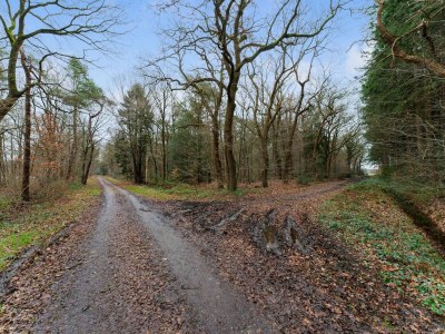 Holiday house Waldhaus in Norg mit privater Sauna - Outdoor photo 9