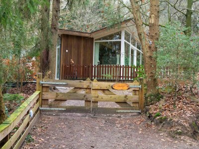 Holiday house Waldhaus in Norg mit privater Sauna - Outdoor photo 10