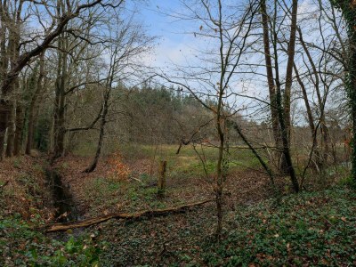 Holiday house Waldhaus in Norg mit privater Sauna - Outdoor photo 12