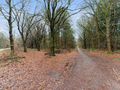 Holiday house Waldhaus in Norg mit privater Sauna - Outdoor photo 13
