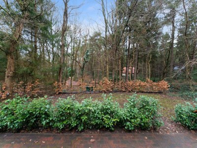 Holiday house Waldhaus in Norg mit privater Sauna - Environment photo 34