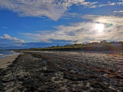 Holiday house Luxus-Retreat mit Pool -- By Traum Ferienwohnungen - Outdoor photo 11