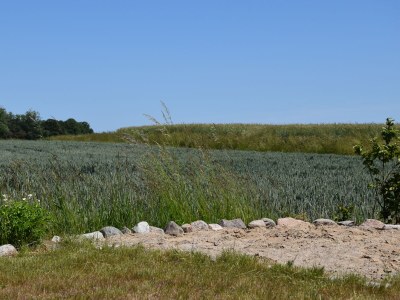 Holiday house Ferienhaus "Mee(h)rhuus" - Outdoor photo 10