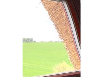 Holiday house Ferienhaus "Mee(h)rhuus" - Features photo 24