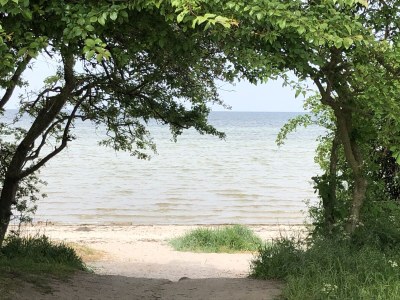 Holiday house Ferienhaus "Mee(h)rhuus" - Environment photo 30