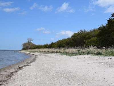 Holiday house Ferienhaus "Mee(h)rhuus" - Environment photo 31