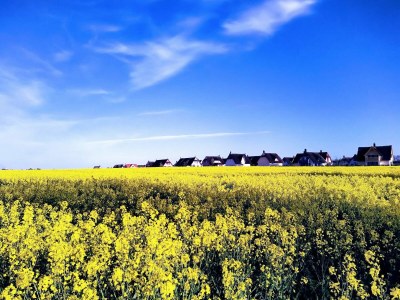 Holiday house Ferienhaus "Mee(h)rhuus" - Environment photo 34