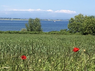 Holiday house Ferienhaus "Mee(h)rhuus" - Environment photo 35