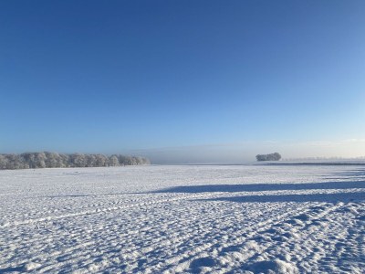 Holiday house Ferienhaus "Mee(h)rhuus" - Environment photo 39