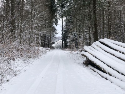 Apartment 2 Schlafzi Fehaus, Dusche, WC, Sauna - Outdoor photo 11