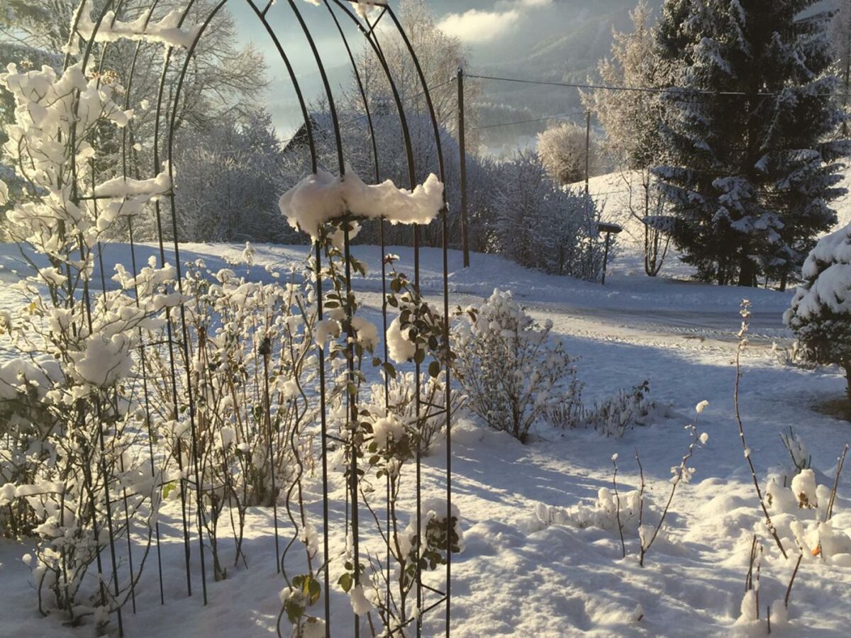 Holiday apartment Wildrose - Outdoor photo 4