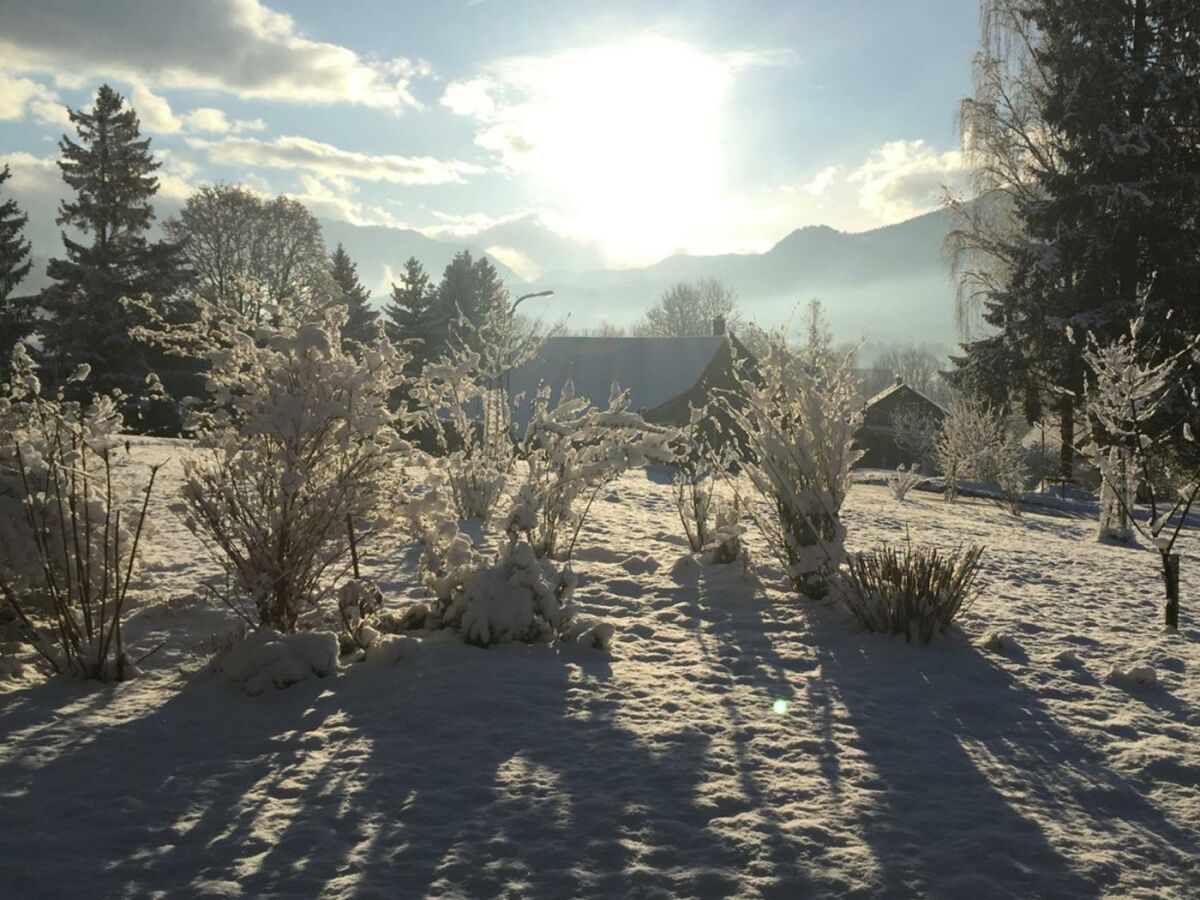 Holiday apartment Wildrose - Outdoor photo 5