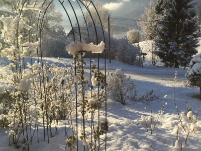 Holiday apartment Wildrose - Outdoor photo 4