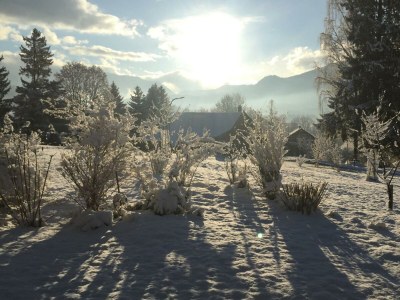 Holiday apartment Wildrose - Outdoor photo 5