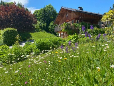 Holiday apartment Wildrose - Outdoor photo 21