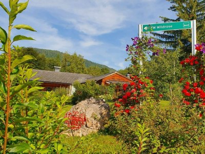 Holiday apartment Wildrose - Outdoor photo 23