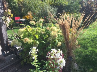 Holiday apartment Wildrose - Outdoor photo 38