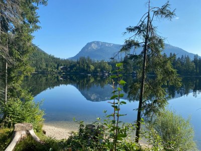 Holiday apartment Wildrose - Outdoor photo 40