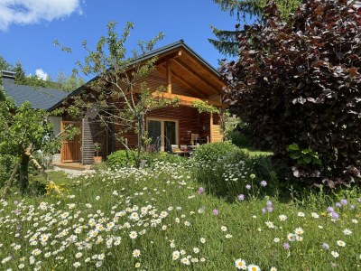 Holiday apartment Wildrose - Outdoor photo 42