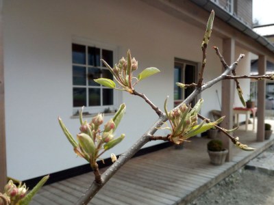 Apartment Malvasia Apart - Outdoor photo 23