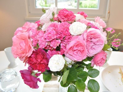 Apartment Malvasia Apart - Outdoor photo 24