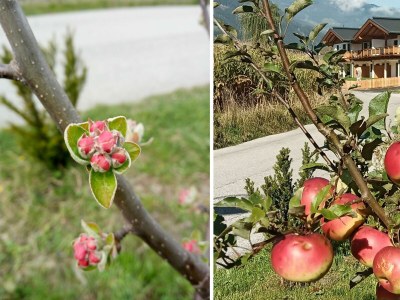 Apartment Malvasia Apart - Outdoor photo 27