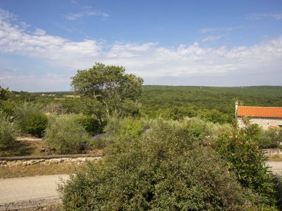 Villa Villa Deborah - Environment photo 29