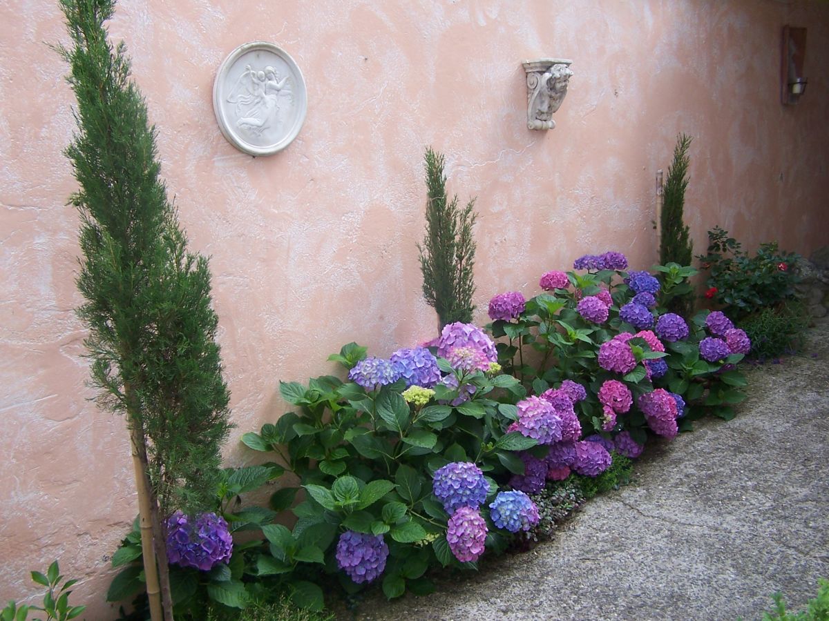 Holiday house Christa - Outdoor photo 3