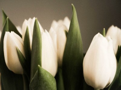 Apartment Apart Andrea - Outdoor photo 13