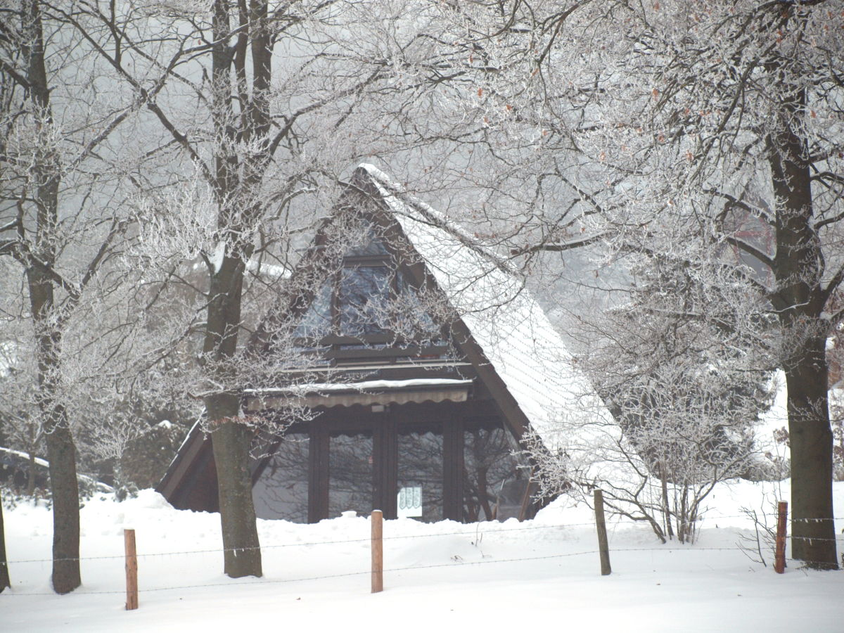 Holiday house Almenweg - Outdoor photo 2
