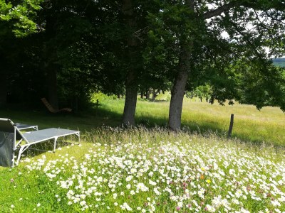 Holiday house Almenweg - Outdoor photo 7