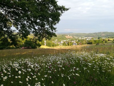 Holiday house Almenweg - Environment photo 20