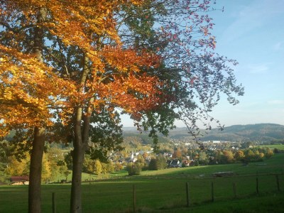 Holiday house Almenweg - Environment photo 23