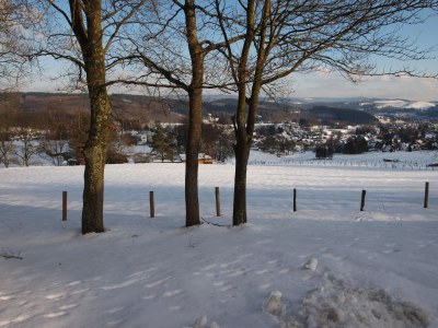 Holiday house Almenweg - Environment photo 24