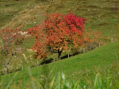 Apartment BERGapartment 1 - Outdoor photo 11