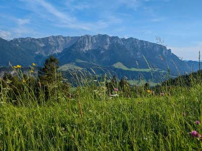 Apartment BERGapartment 1 - Outdoor photo 26