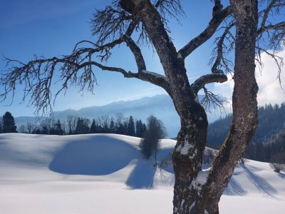 Apartment BERGapartment 1 - Outdoor photo 28