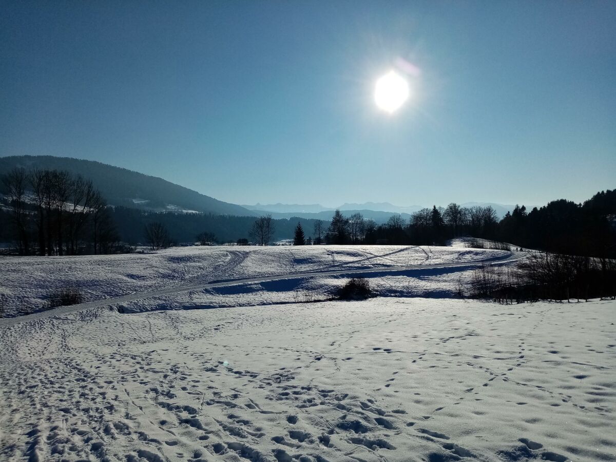 Apartment Ferienwohnung Berganemone