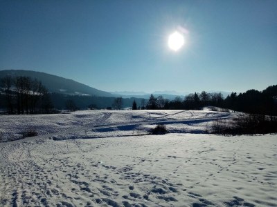 Apartment Ferienwohnung Berganemone in Oberstaufen - Apartment