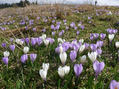 Apartment Ferienwohnung Berganemone - Outdoor photo 14