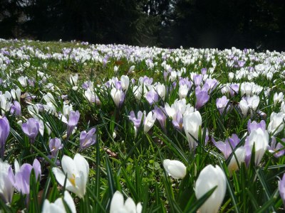 Apartment Ferienwohnung Berganemone - Outdoor photo 15