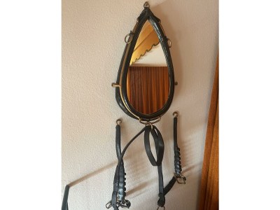 Apartment Ferienwohnung Berganemone - Features photo 31